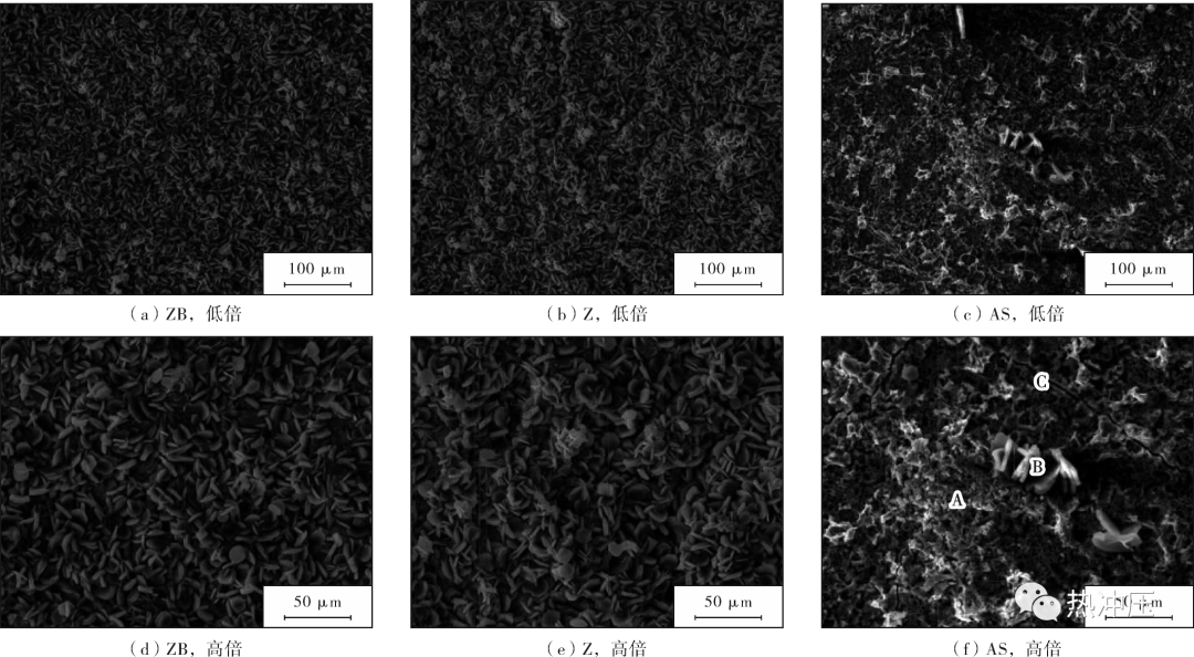 不同镀层热成形钢的涂装性能对比研究